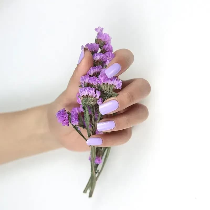 Lavender Fields lilac gel nails holding a bunch of dried lavender flowers