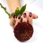 Deep Merlot Burgundy - Semi-Cured Gel Nail Strips - Image 2