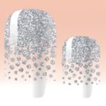 Silver Tips Nail Polish Strips