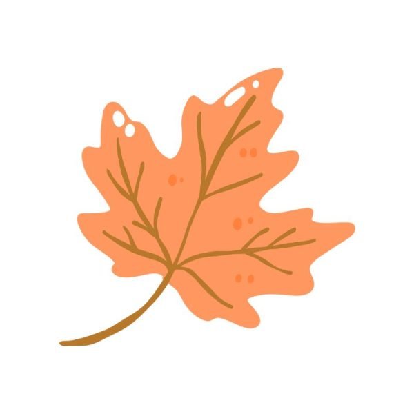 Autumn Gel Nail Strips Category