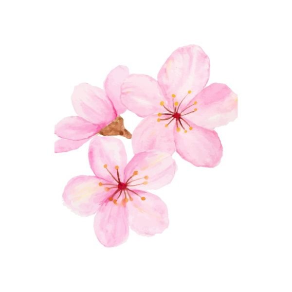 Spring Gel Nails Strips Category